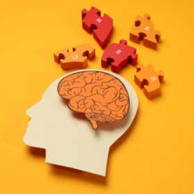 Verbetering van geheugen door FOS en theanine