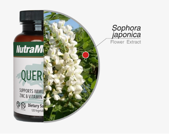 Nieuw: NutraMedix Quercetine