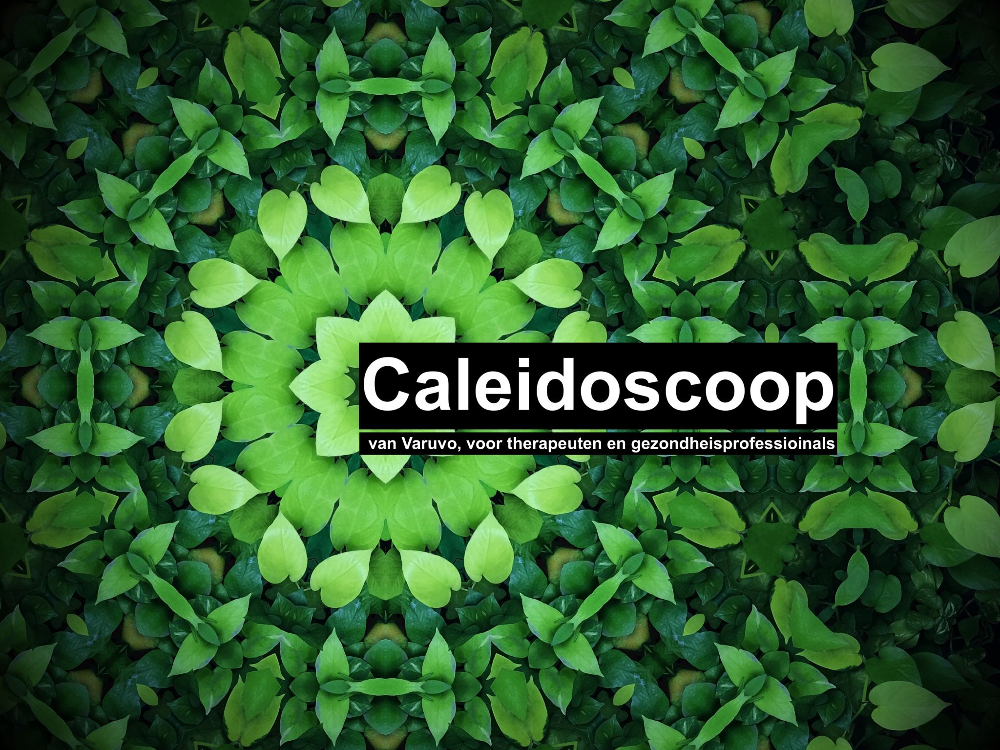 Caleidoscoop: online programma voor gezondheidsprofessionals