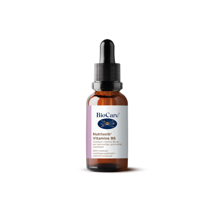 Nutrisorb Vitamine B6