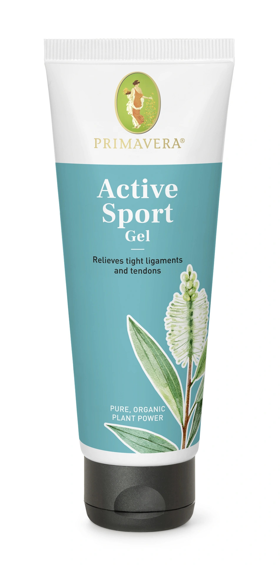 Active Sport Gel